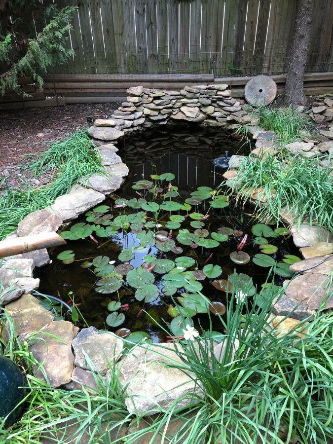 Magnolia House & Gardens B&B Clover Luaran gambar